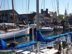 Newport and Harbor Photos
