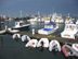 Newport and Harbor Photos